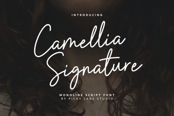 Camellia Signature Font for Elegant Web Design