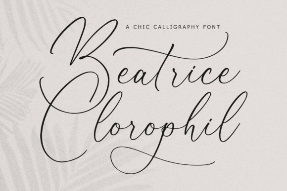 Elevate Campaigns with Beatrice Clorophil Script Font