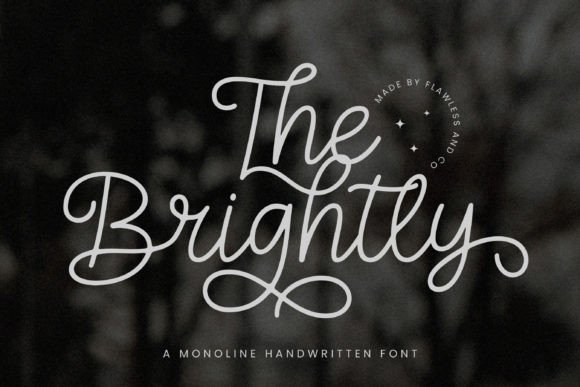 The Brightly Font: A Modern Script for Campaign Clarity