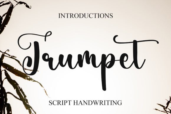 Trumpet Font Review: Elevating Campaign Visuals with Style